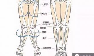 用臀部发力走路腿会变直