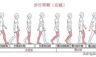 用臀部发力走路腿会变直