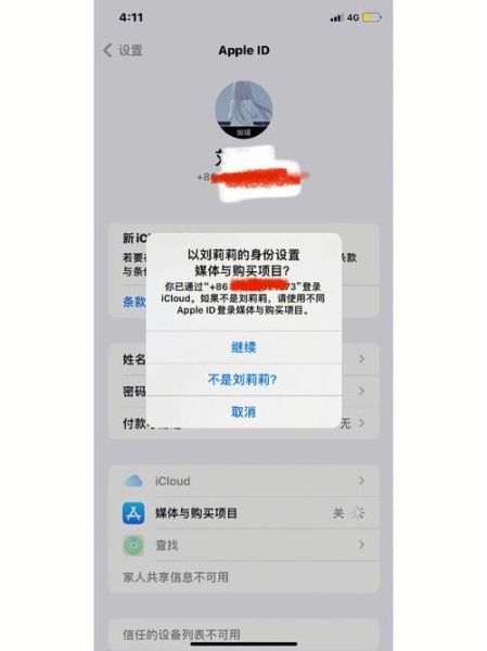 appstore打不开 苹果手机appstore进不去