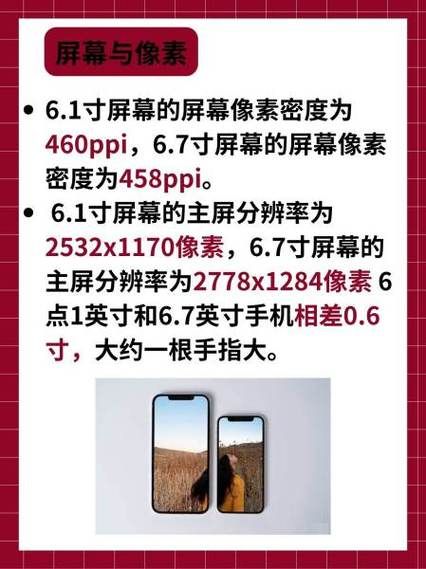 苹果11多大尺寸 6.1寸和6.7寸屏幕对比